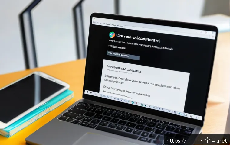 독곡동 STATUS_ACCESS_VIOLATION 관련 이미지 1