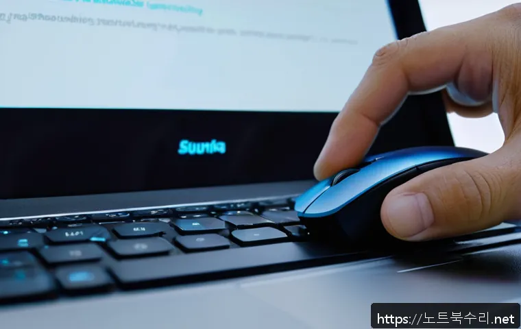 점봉동 프리도스 윈도우설치 관련 이미지 1