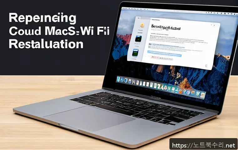 봉양동 macosX재설치 포맷  초기화 관련 이미지 1
