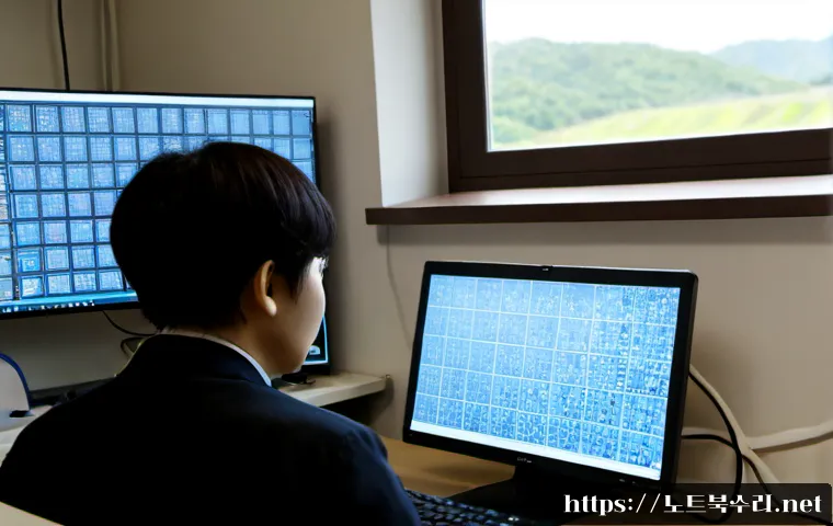 월롱면 STATUS_MODULE_NOT_FOUND 관련 이미지 2