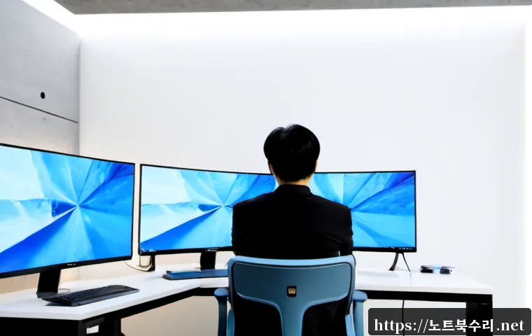 모곡동 KERNEL_SECURITY_CHECK_FAILURE 관련 이미지 1
