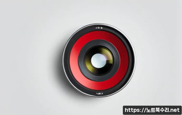 초일동 STATUS_MEMORY_VIOLATION 관련 이미지 5