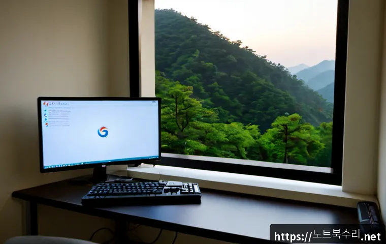 진관동 STATUS_INVALID_PARAMETER 관련 이미지 1
