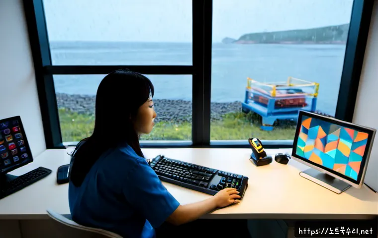 대부동 STATUS_KERNEL_INIT_FAILURE 관련 이미지 4