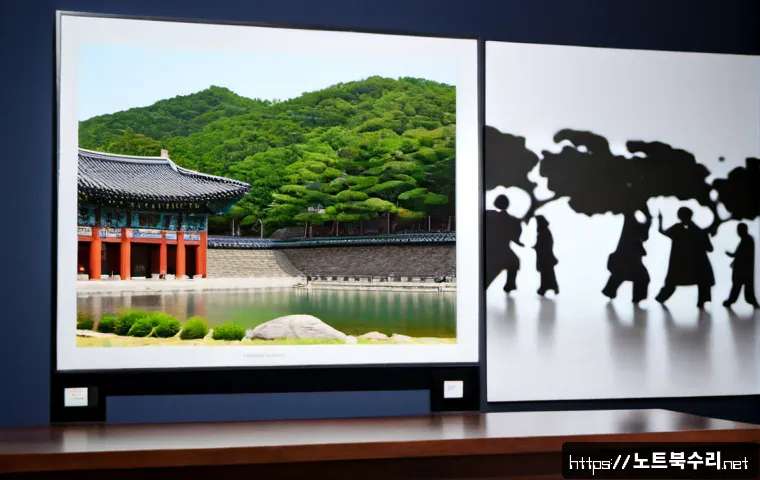 청구동 VIDEO_MEMORY_MANAGEMENT_INTERNAL 관련 이미지 5