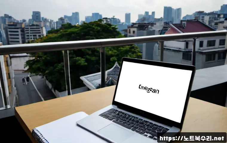 동대문 STATUS_INVALID_PAGE 관련 이미지 4