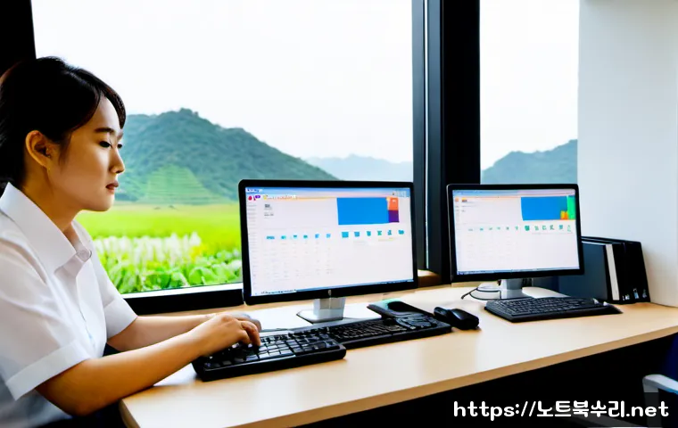 양지면 CDFS_FILE_SYSTEM 관련 이미지 2
