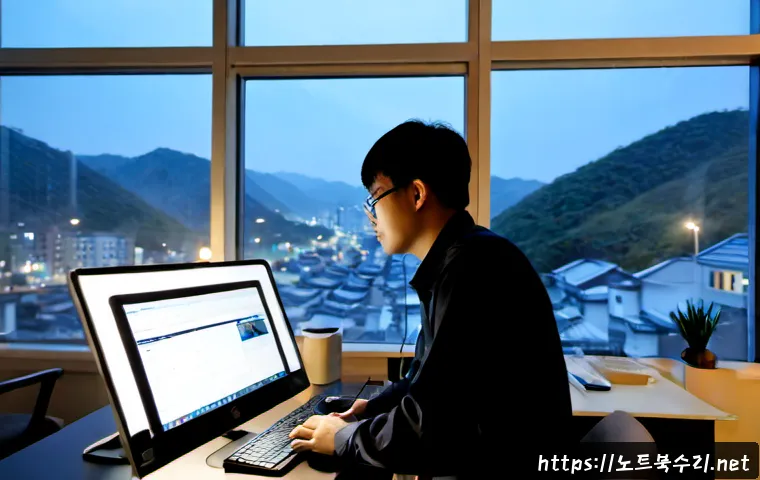 세곡동 STATUS_FLOAT_OVERFLOW 관련 이미지 4