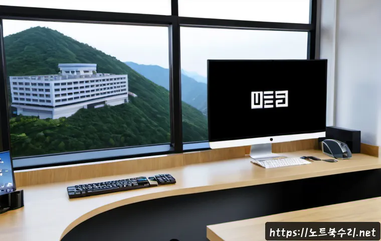 염리동 VIDEO_DRIVER_INIT_FAILURE 관련 이미지 3