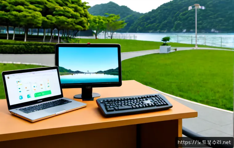 미사동 STATUS_MEMORY_ACCESS_DENIED 관련 이미지 3