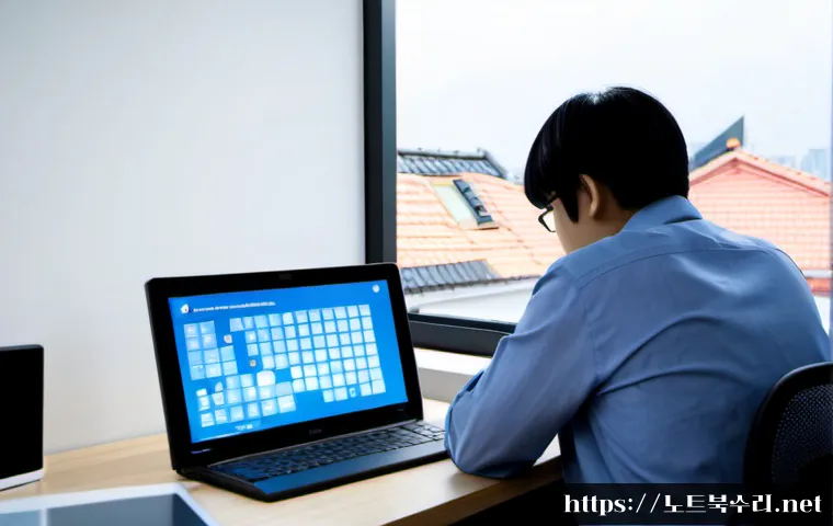 봉익동 DRIVER_CORRUPTED_EXPOOL 관련 이미지 3