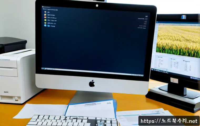 월롱면 macosX재설치 포맷 초기화 관련 이미지 3