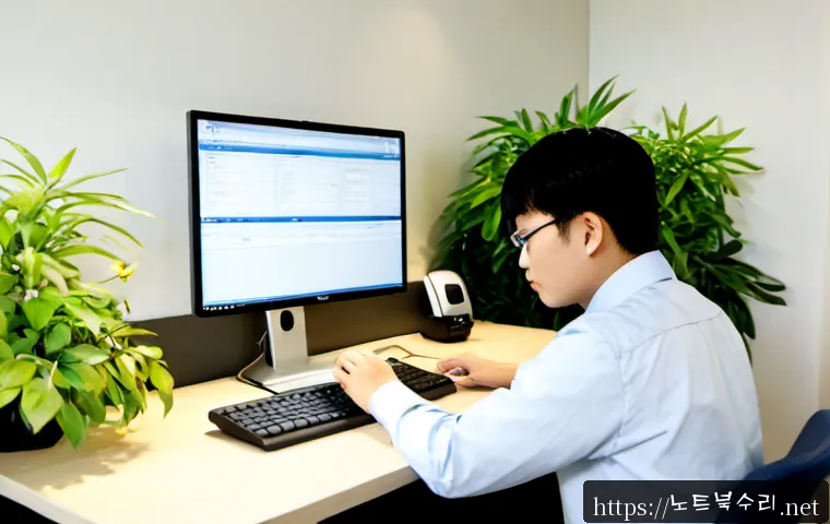 무지내동 DRIVER_CAUGHT_MODIFYING_FREED_POOL 관련 이미지 4