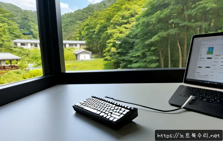 구기동 STATUS_IO_ERROR 관련 이미지 3