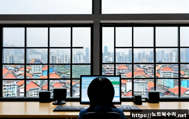 창동 STATUS_MEMORY_OVERFLOW 관련 이미지 3