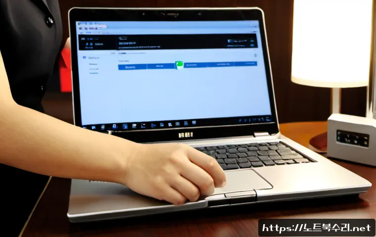 사송동 STATUS_FILE_LOCK_CONFLICT 관련 이미지 2