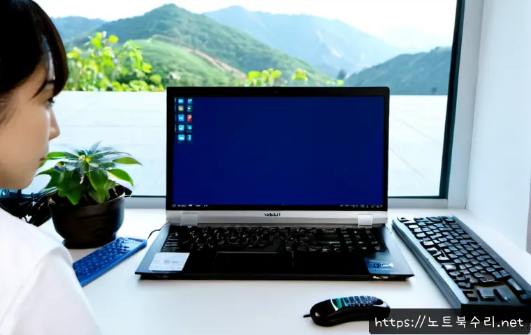 보정동 STATUS_KERNEL_DRIVER_CORRUPTION 관련 이미지 2