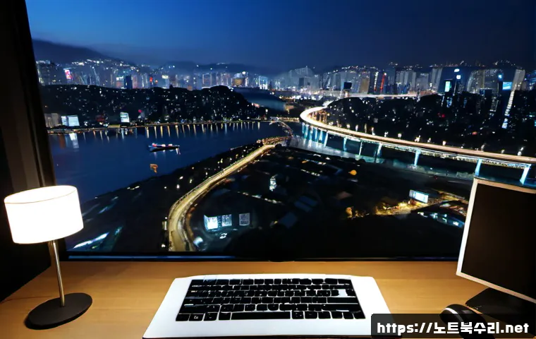 태장동 STATUS_FLOAT_OVERFLOW 관련 이미지 4