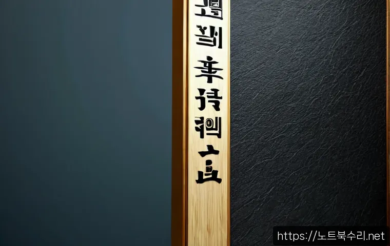 효창동 STATUS_PROTECTION_ERROR 관련 이미지 5