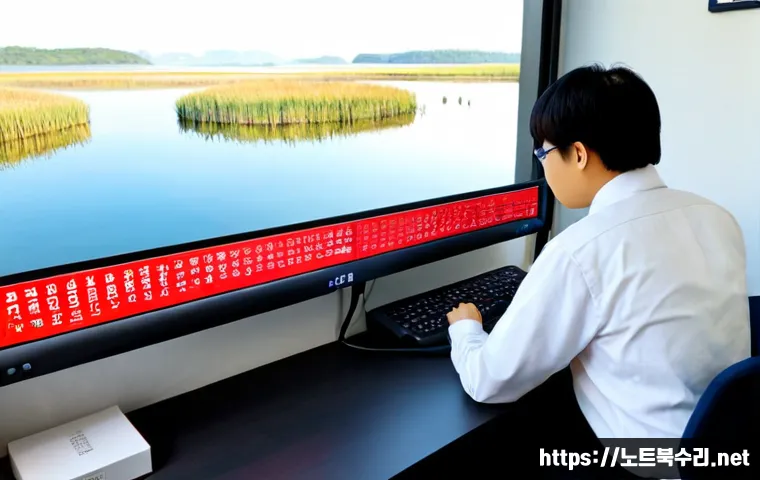 고양시 STATUS_FILE_INVALID - Photorealistic remote-support workstation in a modern Goyang apartment, dual monitors displaying a c...
