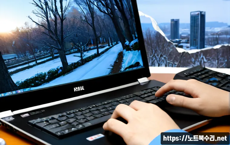 고양시 STATUS_FILE_INVALID 관련 이미지 3