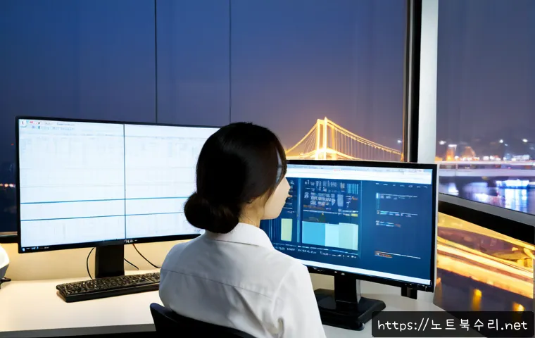 한강로 STATUS_FLOAT_INVALID_OPERATION 관련 이미지 3