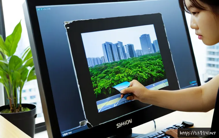 신현동 STATUS_INVALID_IMAGE_FORMAT 관련 이미지 3
