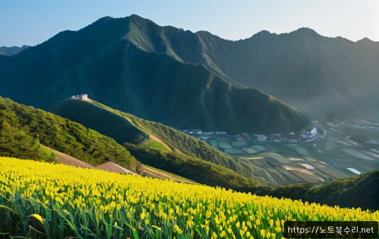문봉동 STATUS_IO_ERROR 관련 이미지 5
