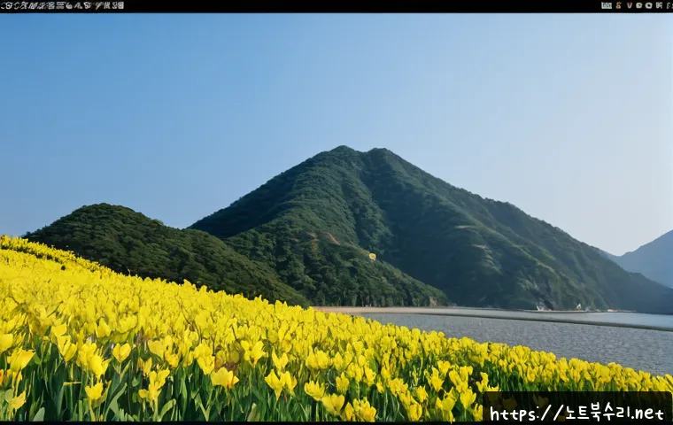 상산곡동 STATUS_STACK_BUFFER_OVERRUN 관련 이미지 5