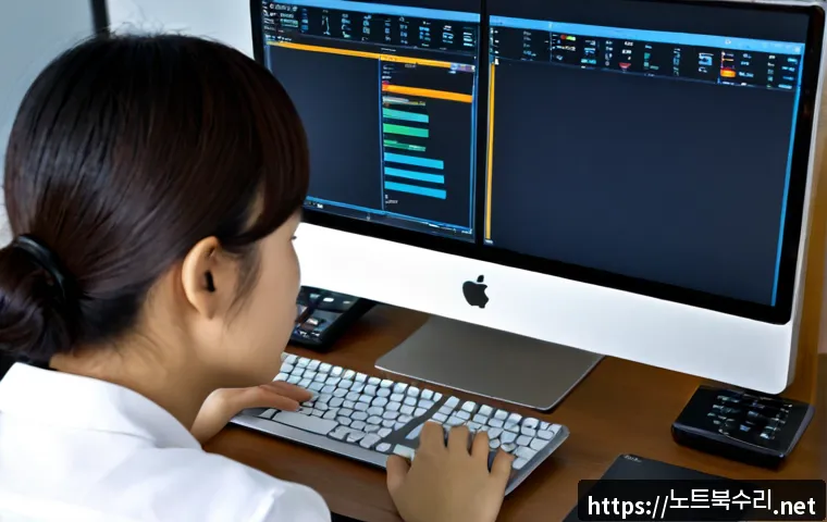 인헌동 PAGE_TABLE_CORRUPT 관련 이미지 2
