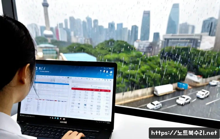 서초동 VIDEO_DRIVER_INIT_FAILURE 관련 이미지 4