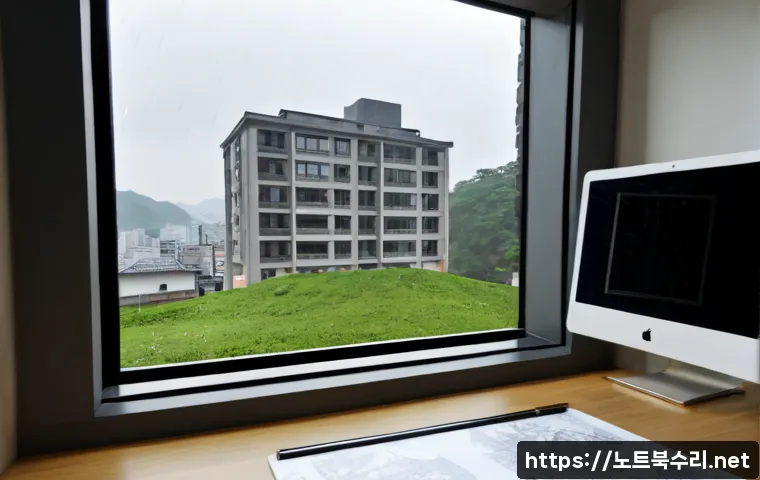 장상동 STATUS_ACCESS_VIOLATION 관련 이미지 3