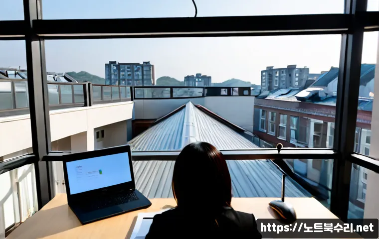 가수동 STATUS_SYSTEM_LICENSE_INVALID 관련 이미지 1