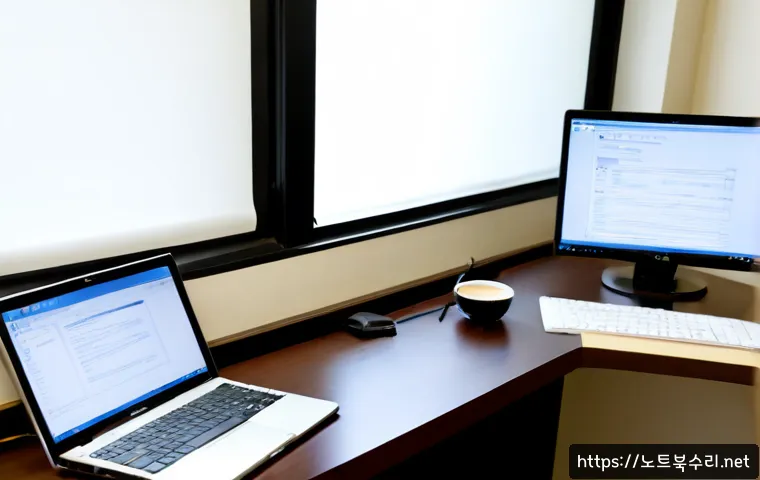 월송동 STATUS_INVALID_THREAD 관련 이미지 2