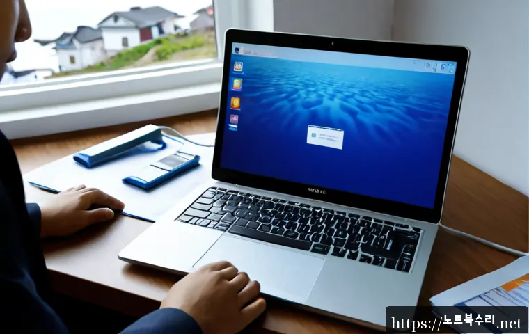 북도면 STATUS_INVALID_PAGE 관련 이미지 2