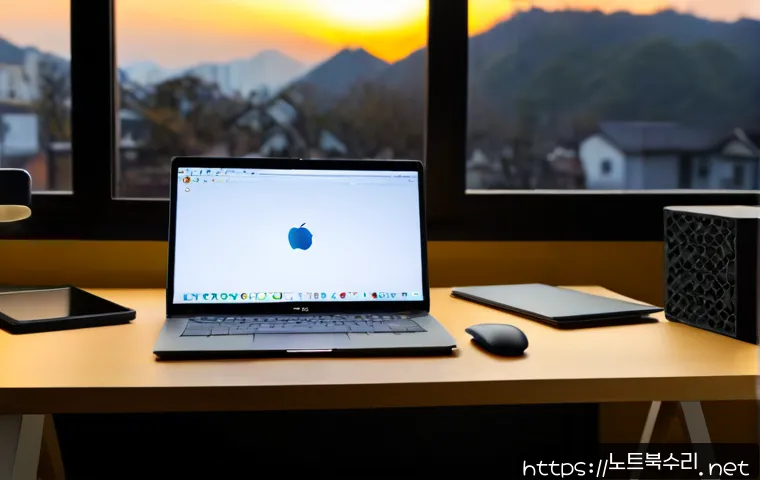 화서동 macosX재설치 포맷 초기화 관련 이미지 1