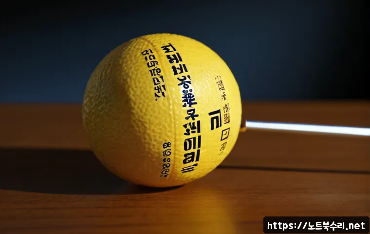 수청동 STATUS_MODULE_CORRUPTION 관련 이미지 5