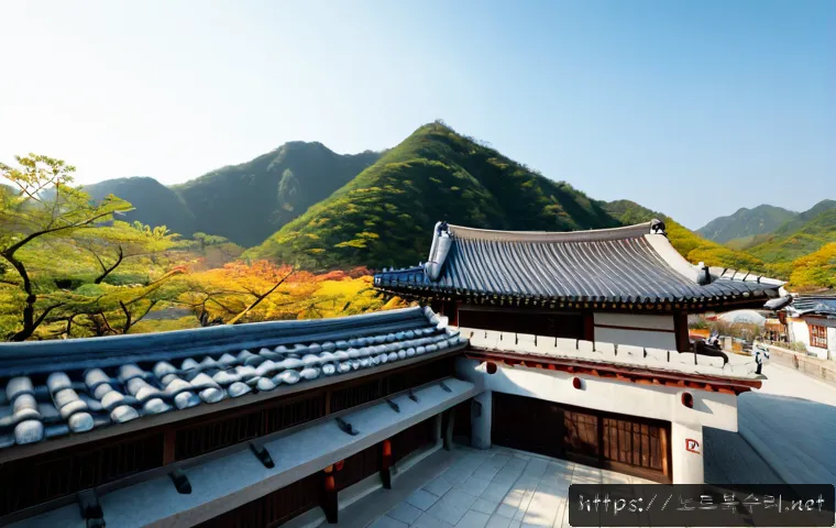 안녕동 STATUS_RESOURCE_NOT_OWNED 관련 이미지 5