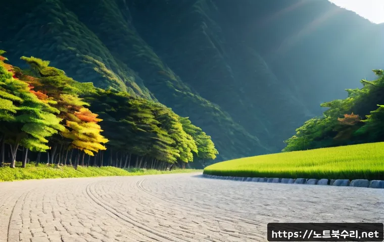 보라동 STATUS_FILE_IN_USE 관련 이미지 5
