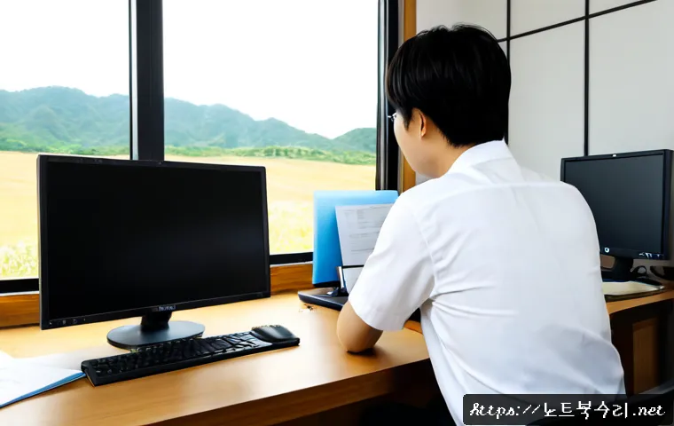 관인면 KERNEL_STACK_INPAGE_ERROR 관련 이미지 2