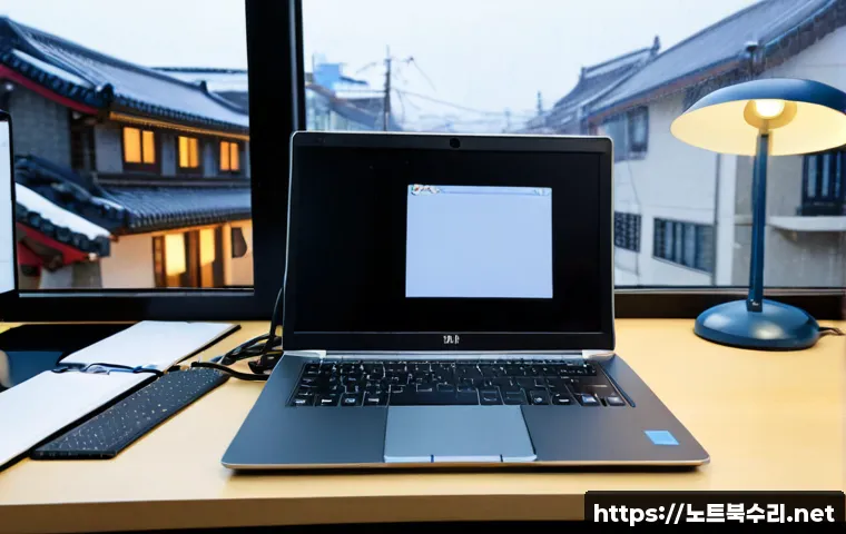 동작동 STATUS_FILE_INVALID 관련 이미지 2