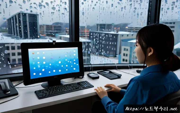 삼평동 KERNEL_MODE_HEAP_CORRUPTION 관련 이미지 4