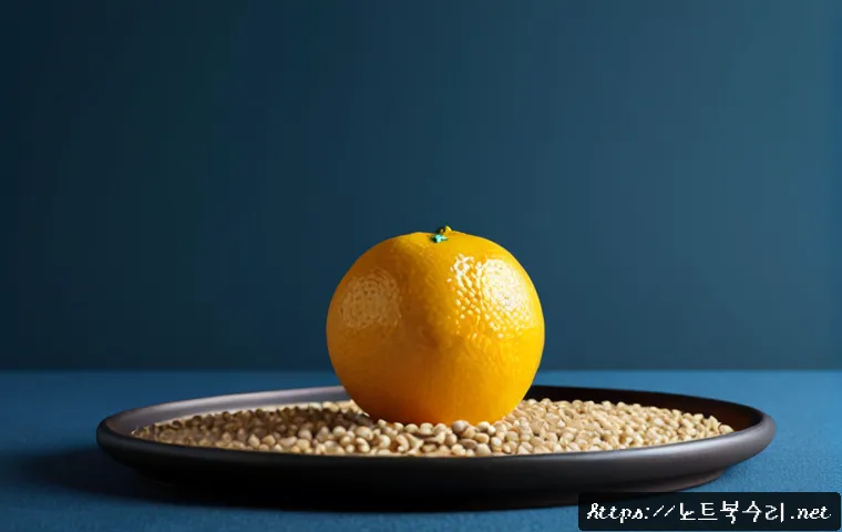소흘읍 KERNEL_DATA_INPAGE_ERROR 관련 이미지 5