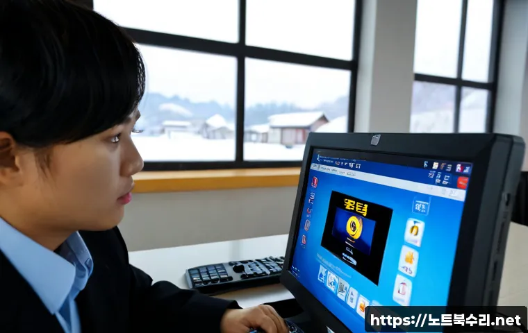삼죽면 DRIVER_VERIFIER_DETECTED_VIOLATION 관련 이미지 2