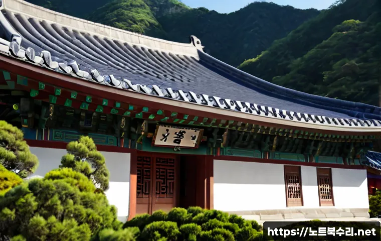 삼죽면 DRIVER_VERIFIER_DETECTED_VIOLATION 관련 이미지 5