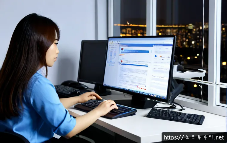 선동 STATUS_MEMORY_OVERFLOW 관련 이미지 2