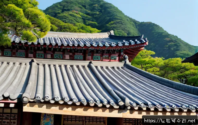 운남동 USER_MODE_HEALTH_MONITOR 관련 이미지 5