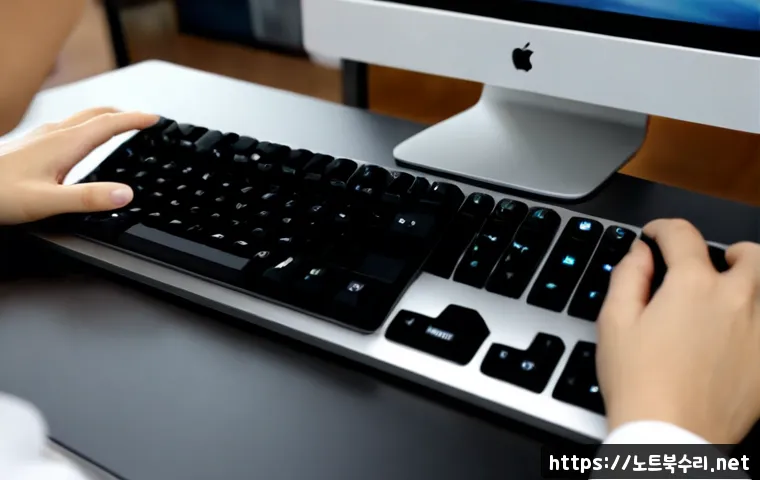 왕길동 press f4 key 관련 이미지 2