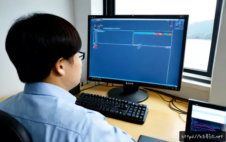 대곶면 INVALID_KERNEL_HANDLE 관련 이미지 2