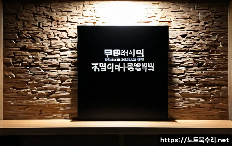 토정동 STATUS_ACCESS_VIOLATION 관련 이미지 5